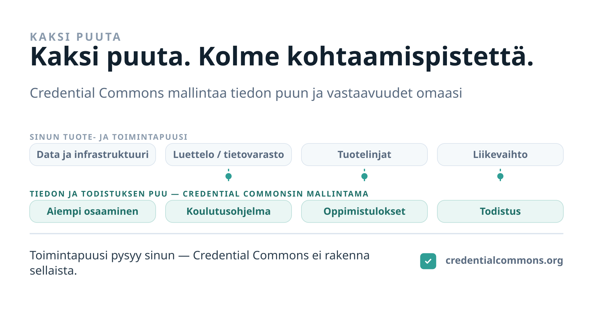Kaksi rinnakkaista polkua. Ylempi on organisaation tuote- ja toimintapuu: data ja infrastruktuuri, luettelo tai tietovarasto, tuotelinjat, liikevaihto. Alempi on tiedon ja todistuksen puu, jota Credential Commons mallintaa: aiempi osaaminen, koulutusohjelma, oppimistulokset, todistus. Katkoviivat yhdistävät polut kolmessa kohdassa — luettelon tarjonta, oppimistulokset ja todistus. Näissä kohdissa Credential Commons kartoittaa vastaavuudet toimintapuuhun; se ei koskaan omista tai rakenna sellaista.