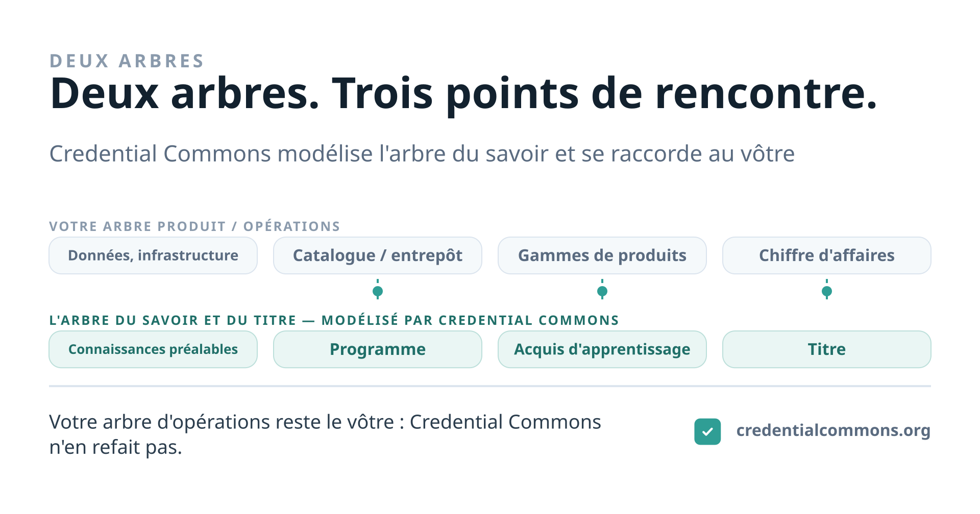 Deux voies parallèles. En haut, l'arbre produit et opérations d'une organisation : données et infrastructure, catalogue ou entrepôt, gammes de produits, chiffre d'affaires. En bas, l'arbre du savoir et du titre que modélise Credential Commons : connaissances préalables, programme, acquis d'apprentissage, titre. Des liens en pointillés relient les deux voies à trois étapes — l'offre du catalogue, les acquis d'apprentissage et le titre. Credential Commons établit des correspondances avec un arbre d'opérations en ces points ; il n'en possède ni n'en reconstruit aucun.